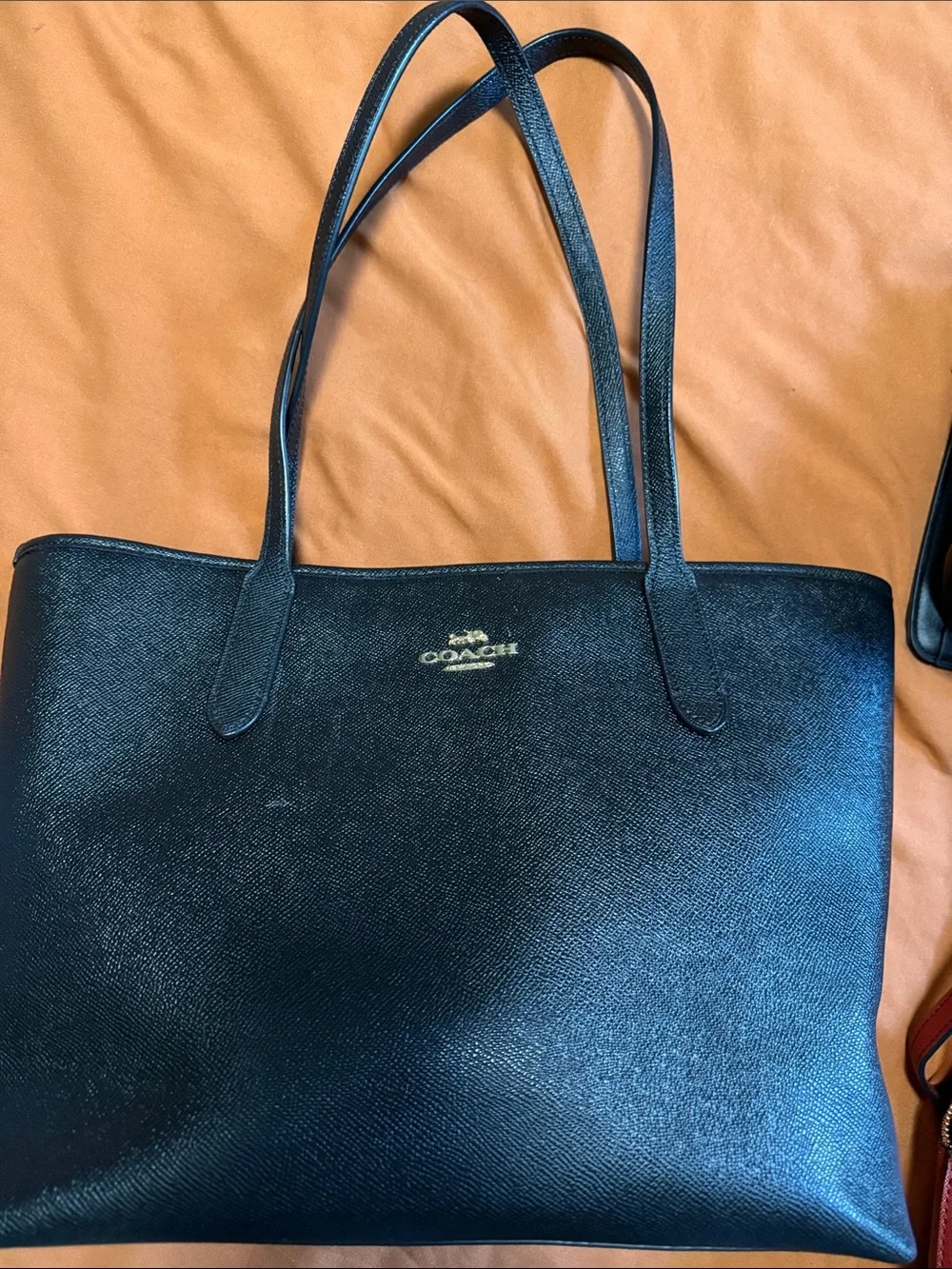 Steve Madden and Coach bundle. All in gently used condition, almost new.